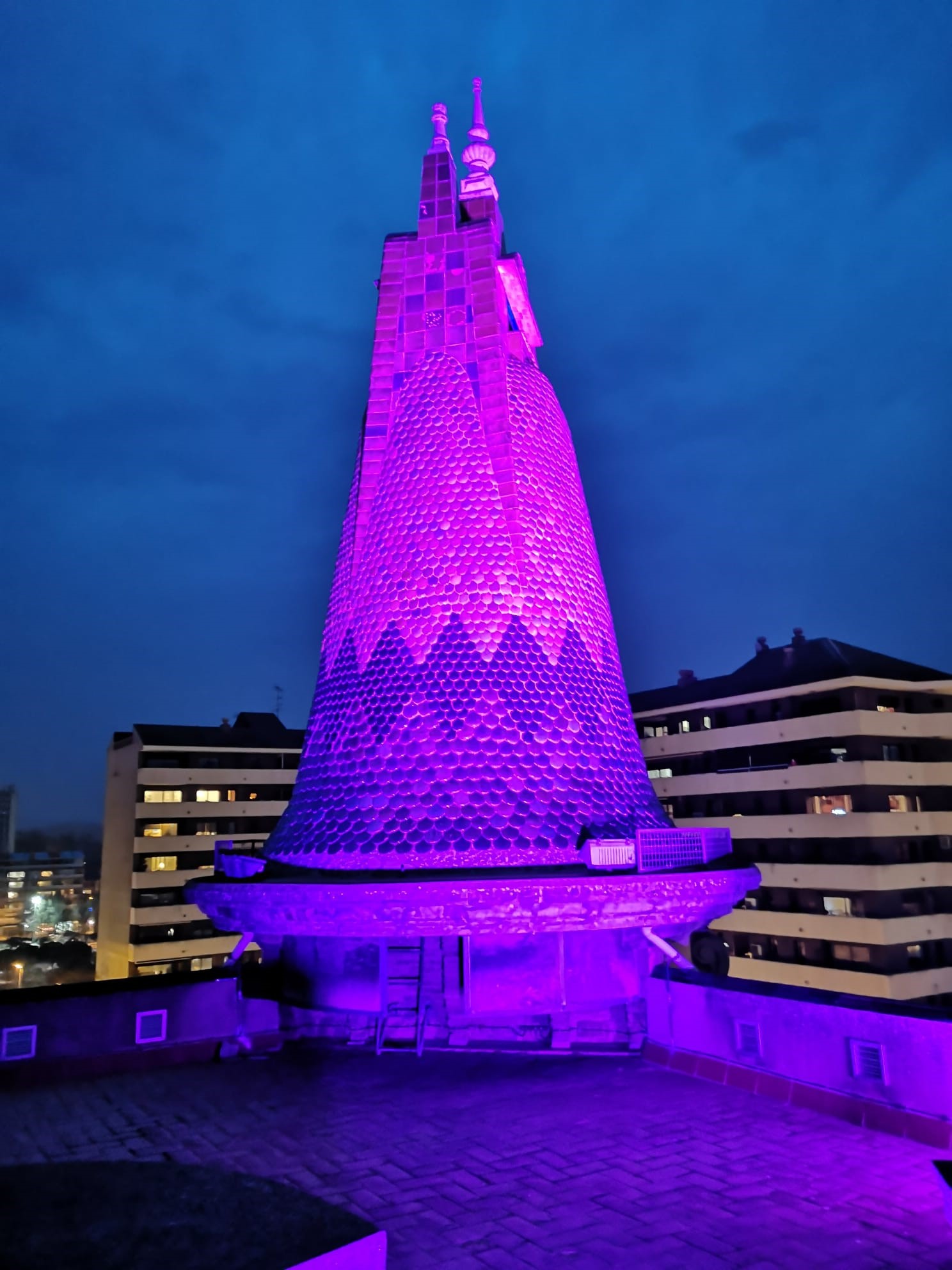 LaPunxaVioleta