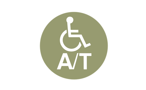 assistent gpt accessibilitat