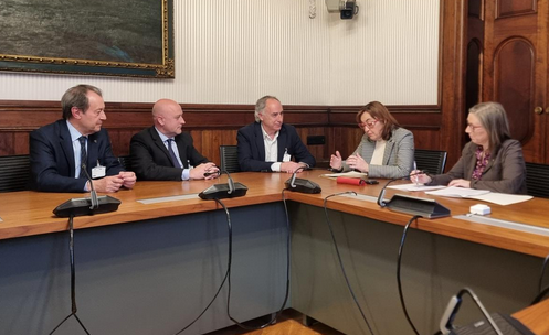 consell catala i paneque